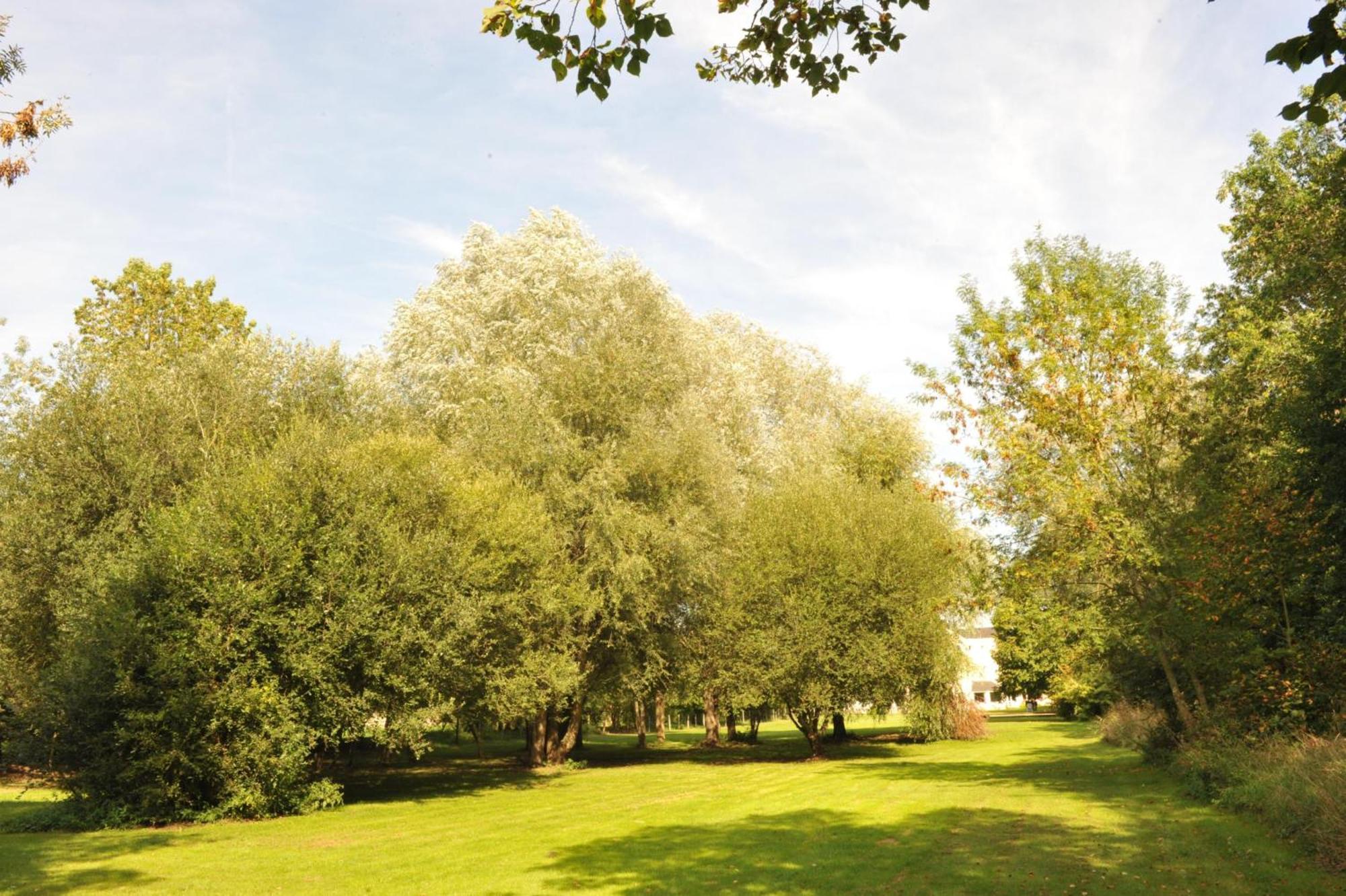 Logis Hotel Le Relais Du Moulin Valençay Kültér fotó
